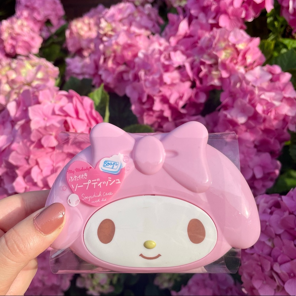 Sanrio My Melody Case